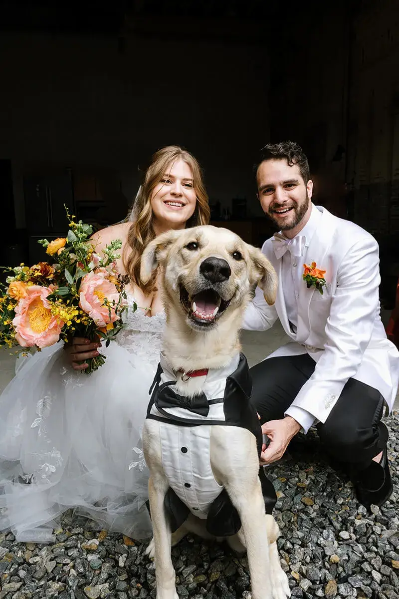 img-wedding-portrait-with-dog